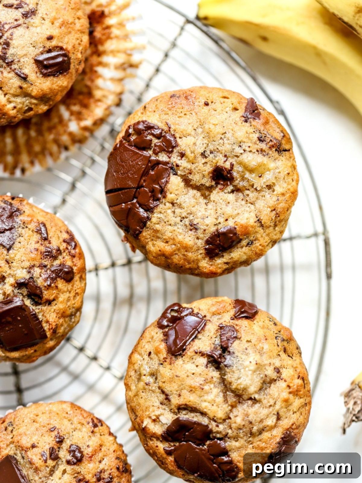 Banana muffins with chunks of chocolate on top on a rack next to some bananas. 
