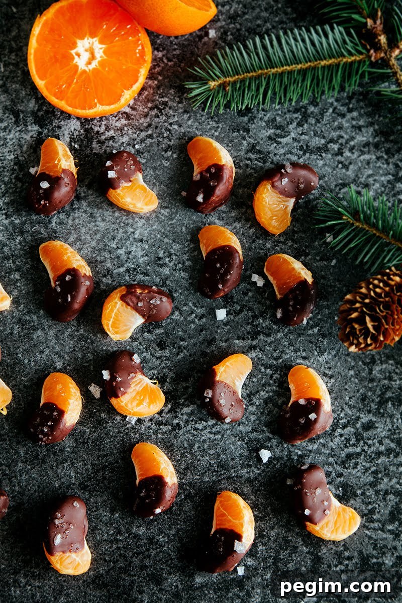Sea salt & Chocolate Covered Orange Slices
