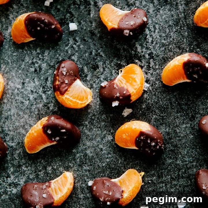 Sea salt & Chocolate Covered Orange Slices