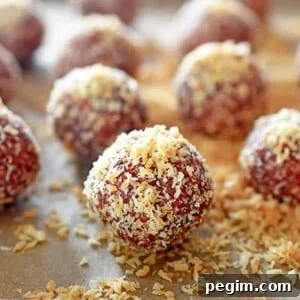 “PB&J” Energy Balls by Michelle Tam