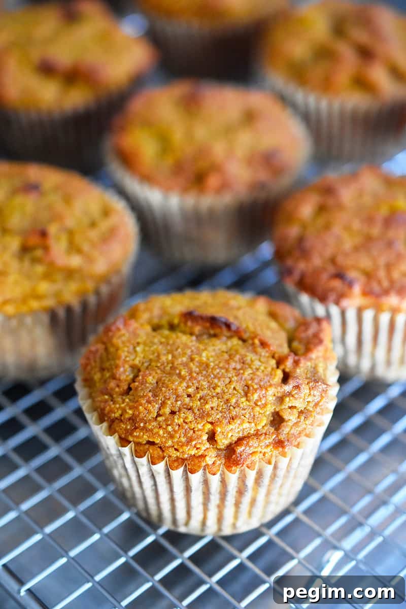 A closeup of the paleo pumpkin muffins on a wire rack.