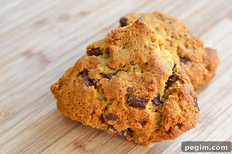 A paleo and grain-free cherry chocolate scone on a wooden cutting board.
