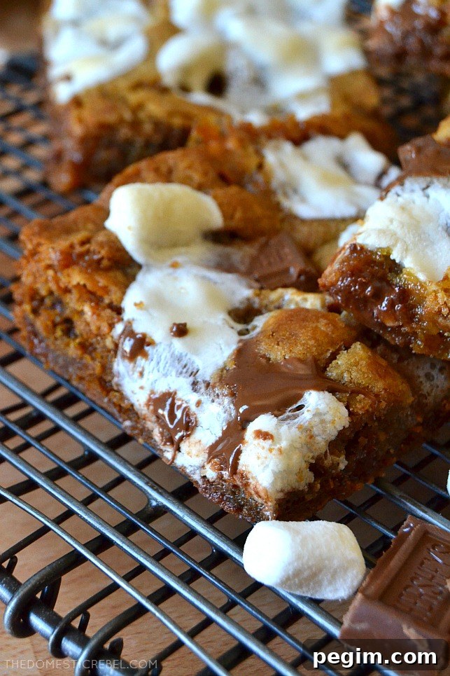 closeup of a s'mores cookie bar on a black wire rack