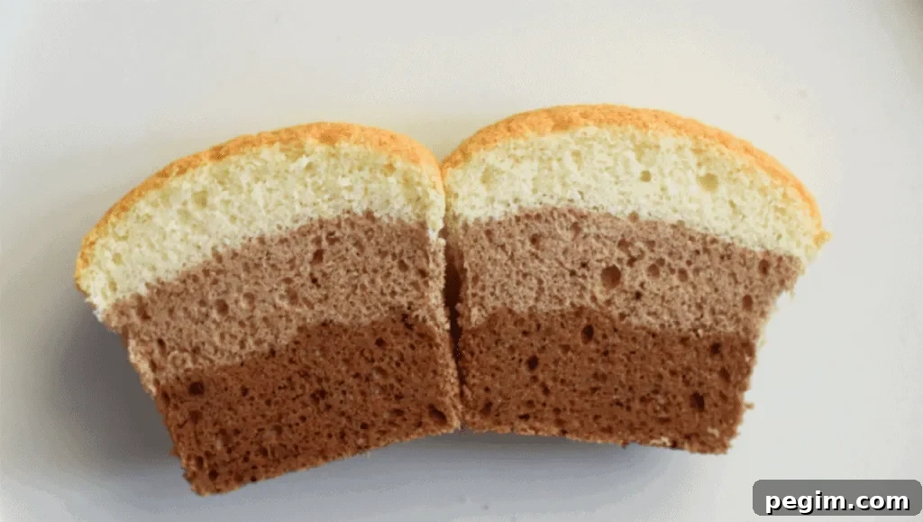 vanilla and chocolate cupcake recipe