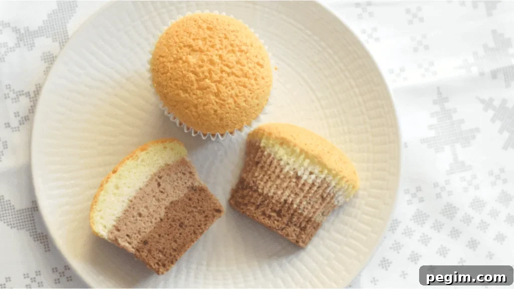 vanilla and chocolate cupcake recipe