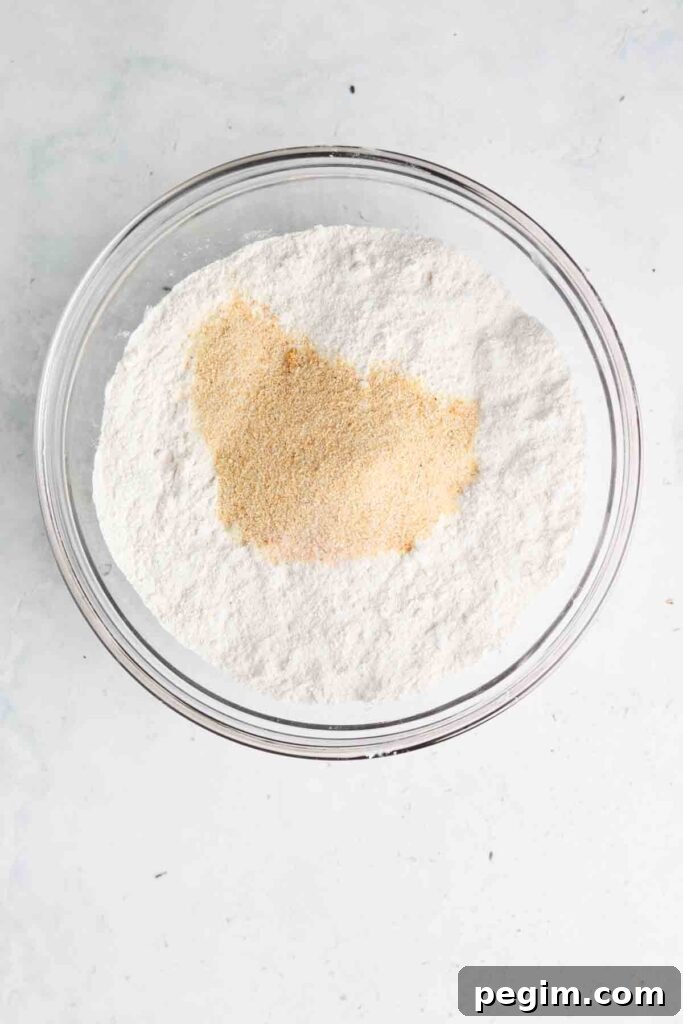 cassava flour, garlic powder and salt in a bowl