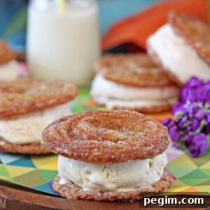 Churro Ice Cream Sandwich