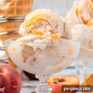 No-Churn Peach Ice Cream
