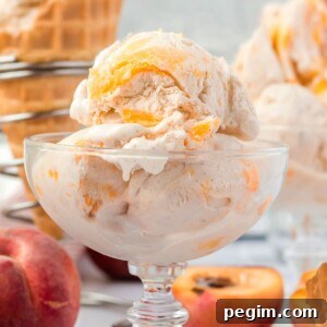 No-Churn Peach Ice Cream
