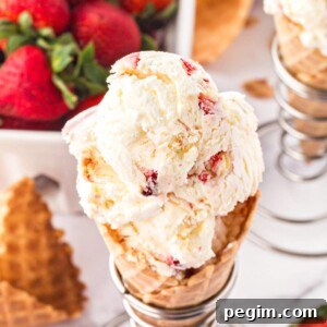 Strawberry Shortcake Ice Cream