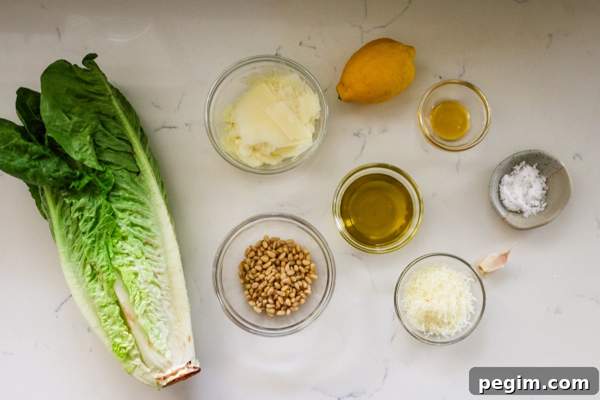Ingredients for Romaine Salad.