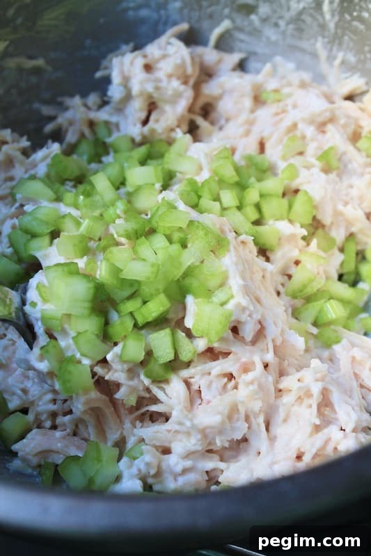 easy chicken salad appetizer recipe