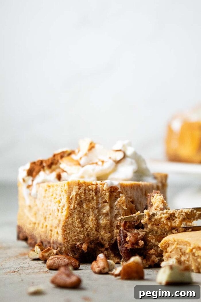 sideview of a slice of keto pumpkin cheesecake topped with whipped cream and cinnamon ready to serve