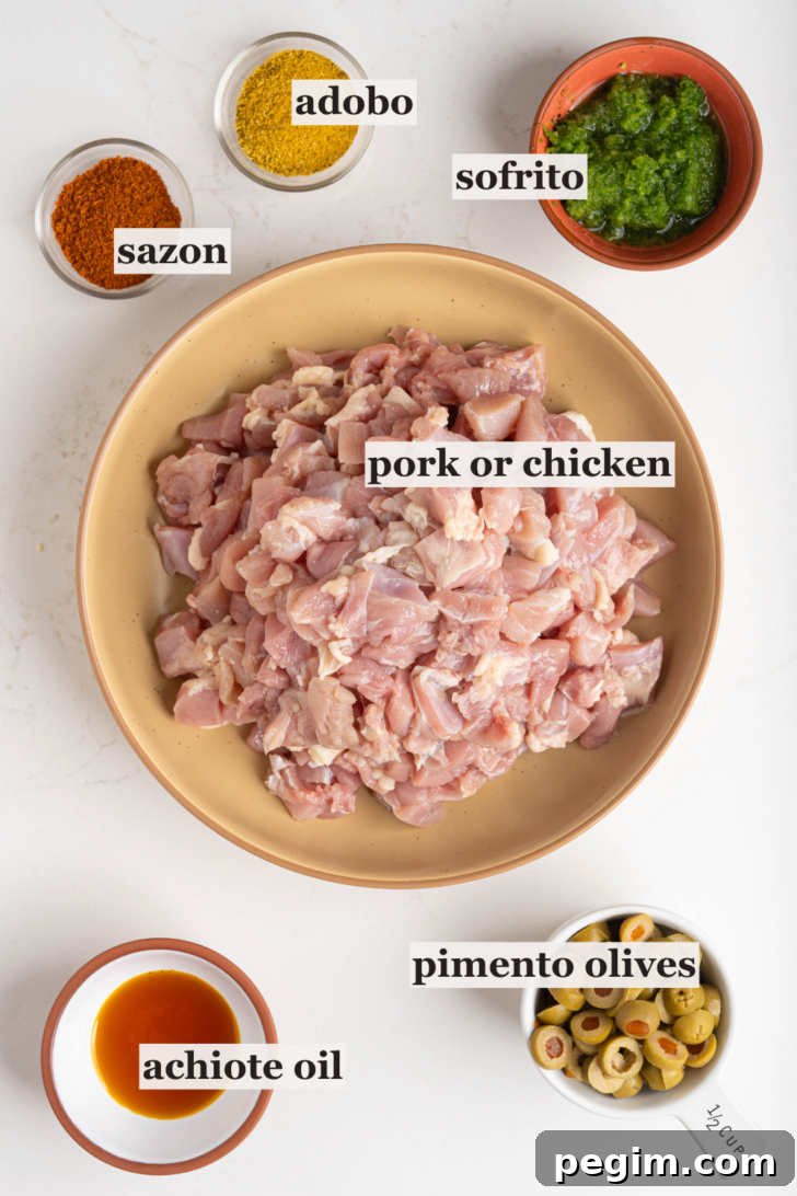 Bowls of chicken, sazon, adobo, and more.