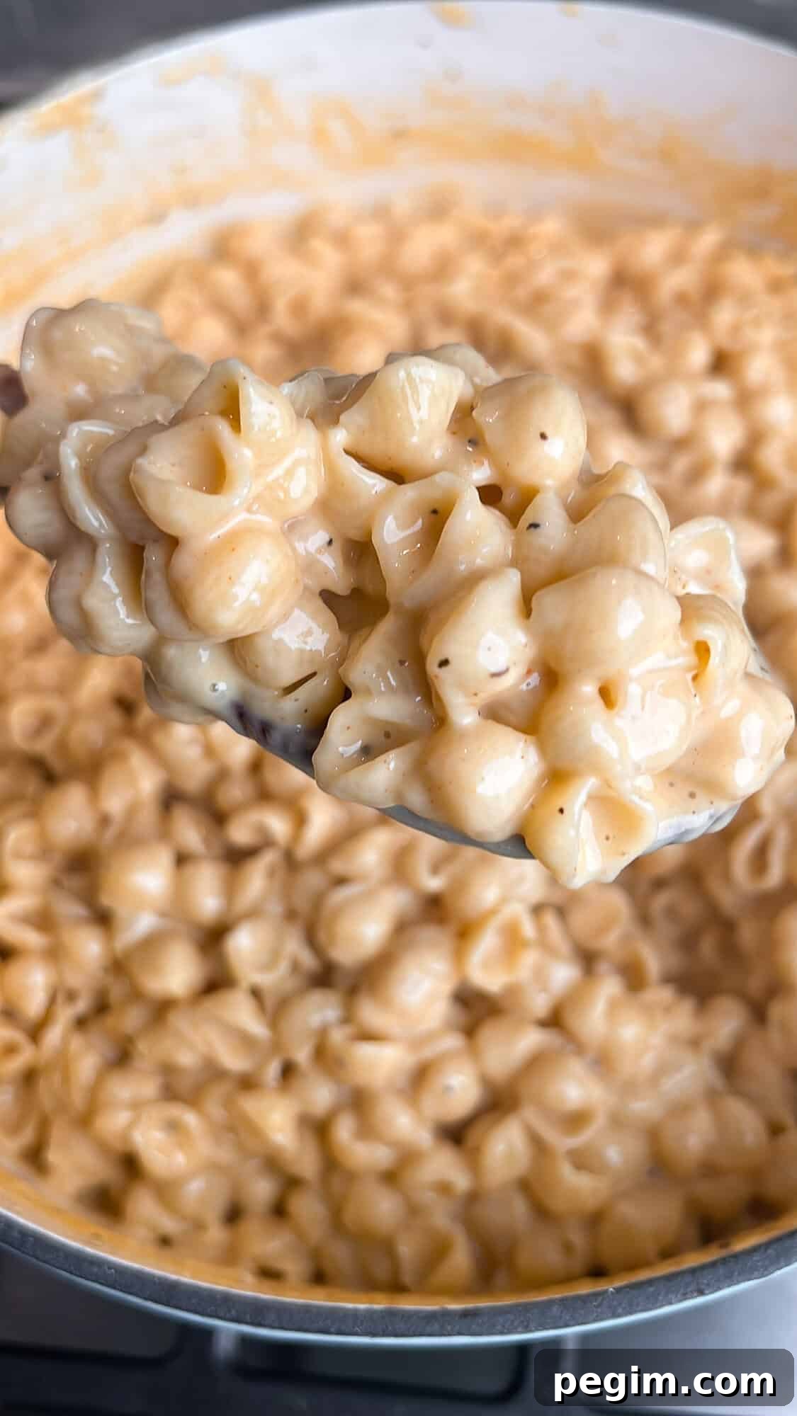 mac and cheese made in one pan