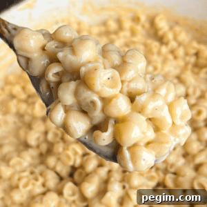 one pot mac and cheese