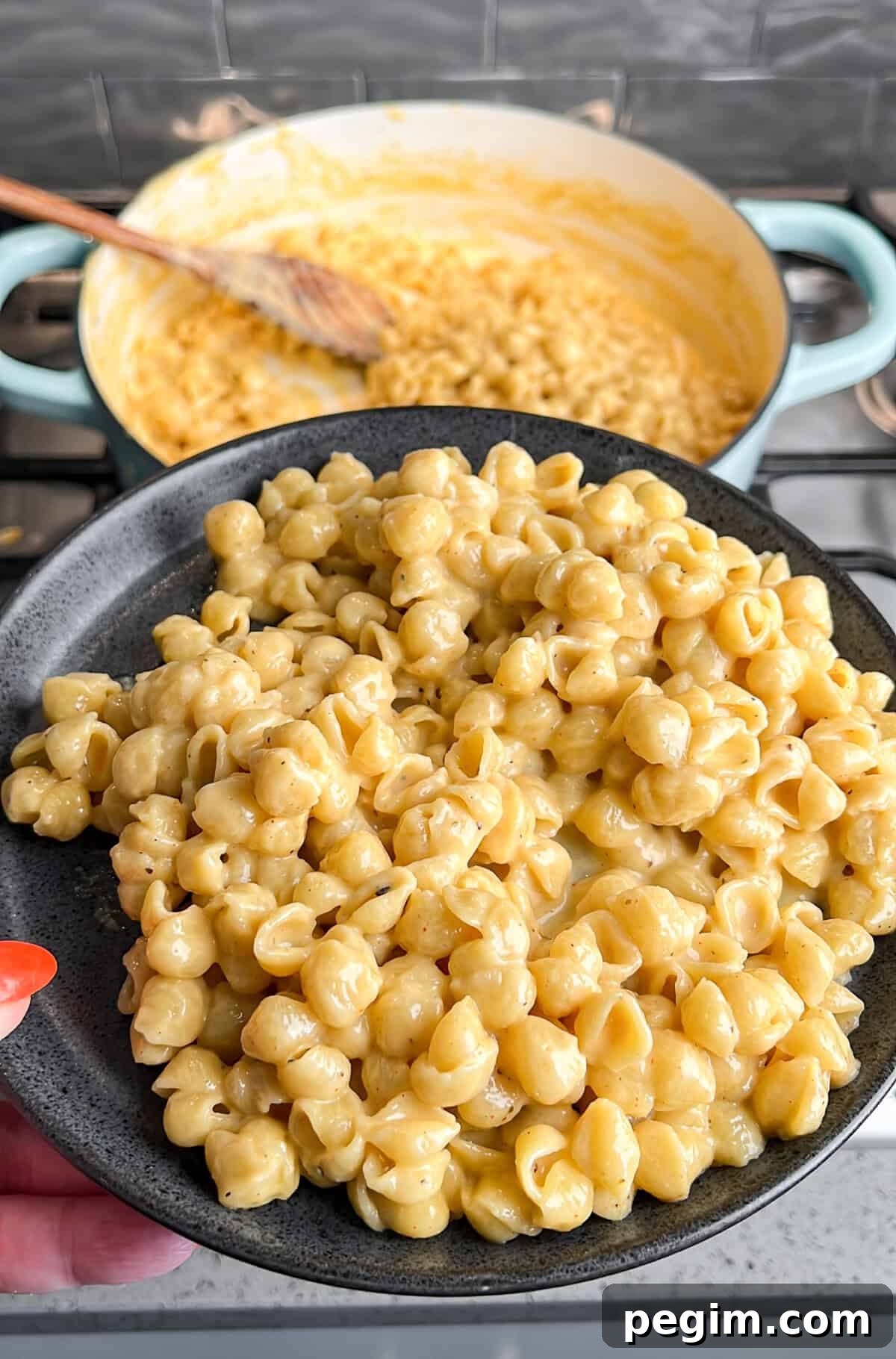 macaroni and cheese shells on a plate