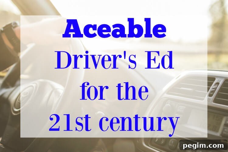 Aceable Driver's Ed for the 21st century