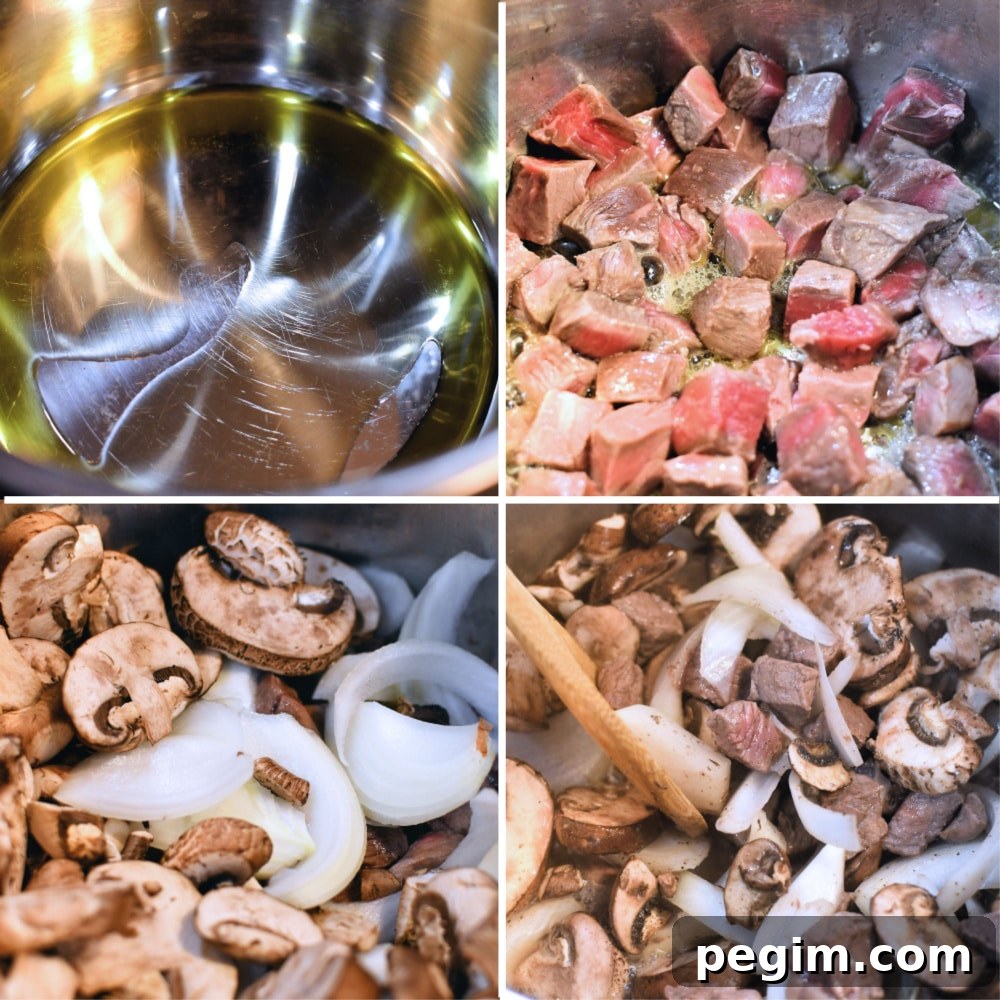 24Bite: Steak and Mushrooms Soup Instant Pot Recipe by Christian Guzman