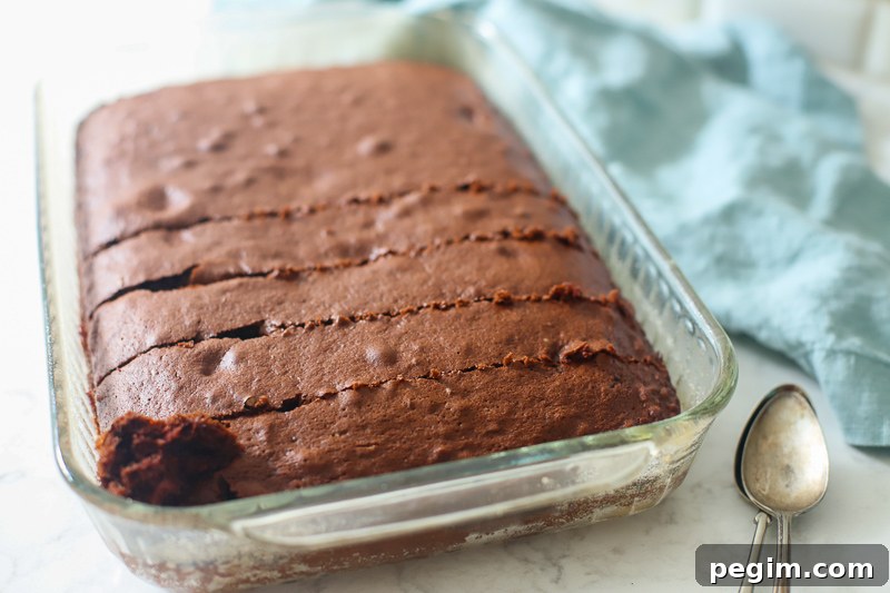 baked chocolate cake.