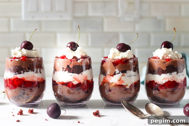 4 chocolate cherry trifles on the counter