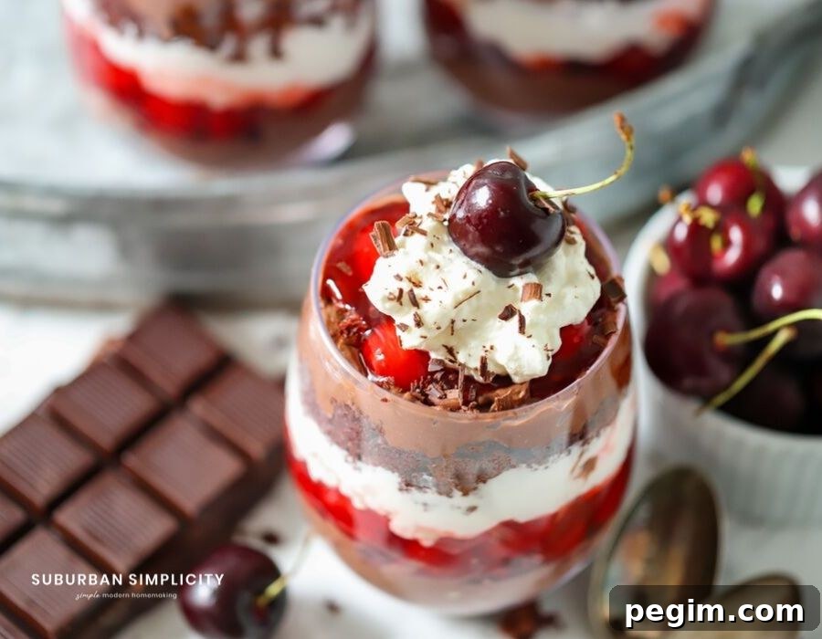 A top view of a chocolate cherry trifle
