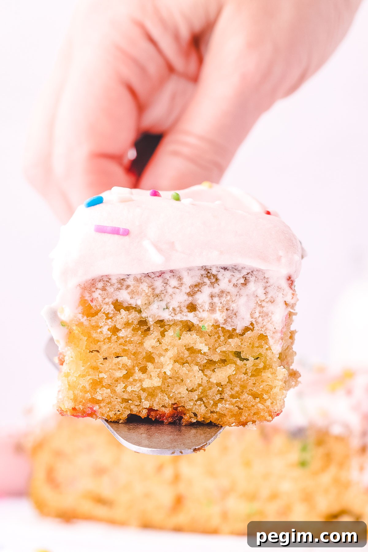 A piece of funfetti cake lifted up with a cake spatula.
