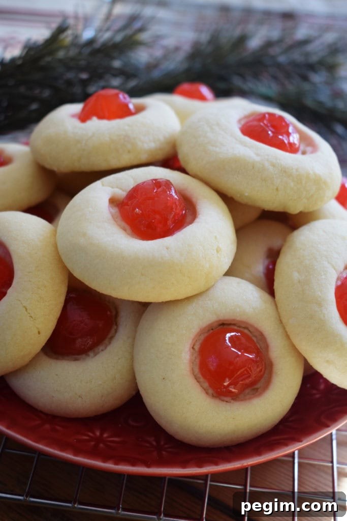 close up of the whipped shortbread