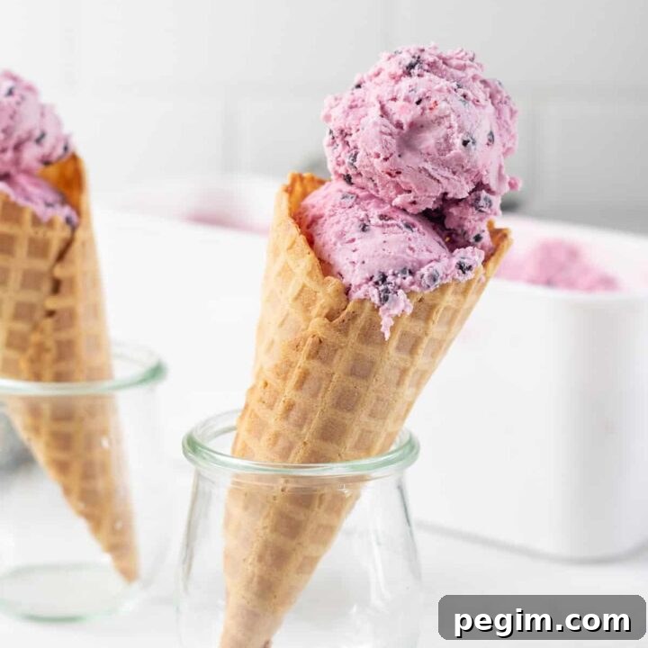 Two small jars holding up waffle cones filled with purple huckleberry ice cream.
