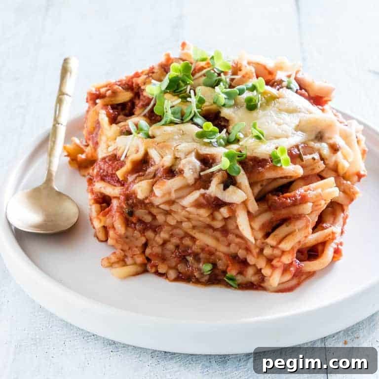 Slow Cooker Spaghetti with Savory Tomato Meat Sauce 2 slow cooker spaghetti casserole on a plate