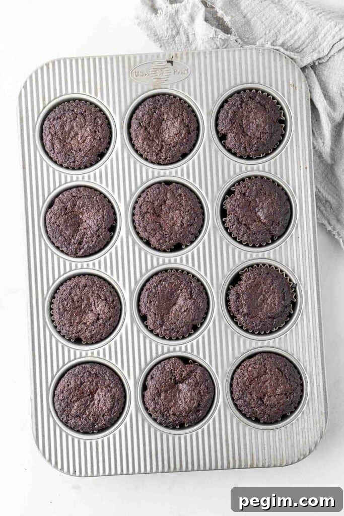 Chocolate cupcakes in the pan fresh from the oven.
