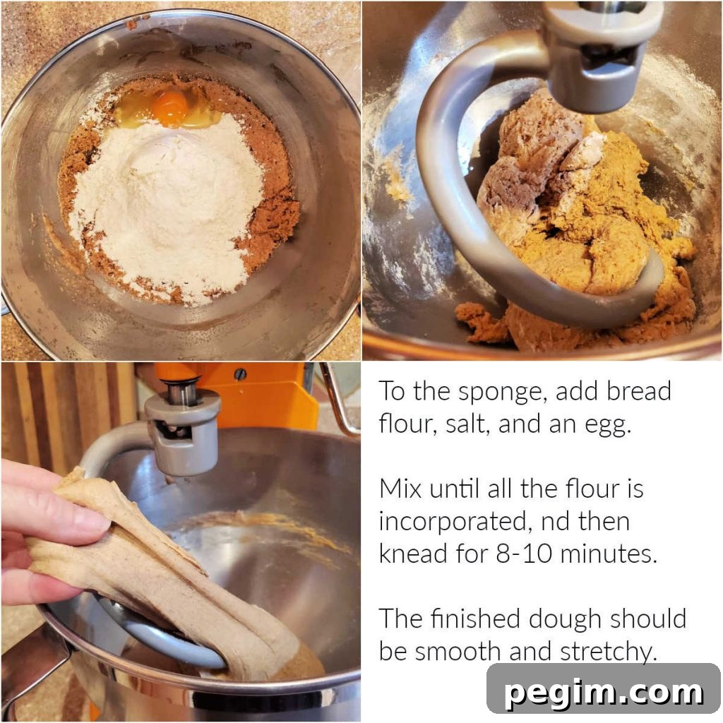 A collage of 3 images with text showing adding the rest of the ingredients to the sponge, mixing the dough, and kneading it until it is soft and stretchy.