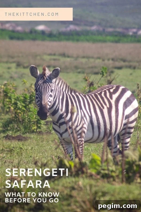 Serengeti Safari