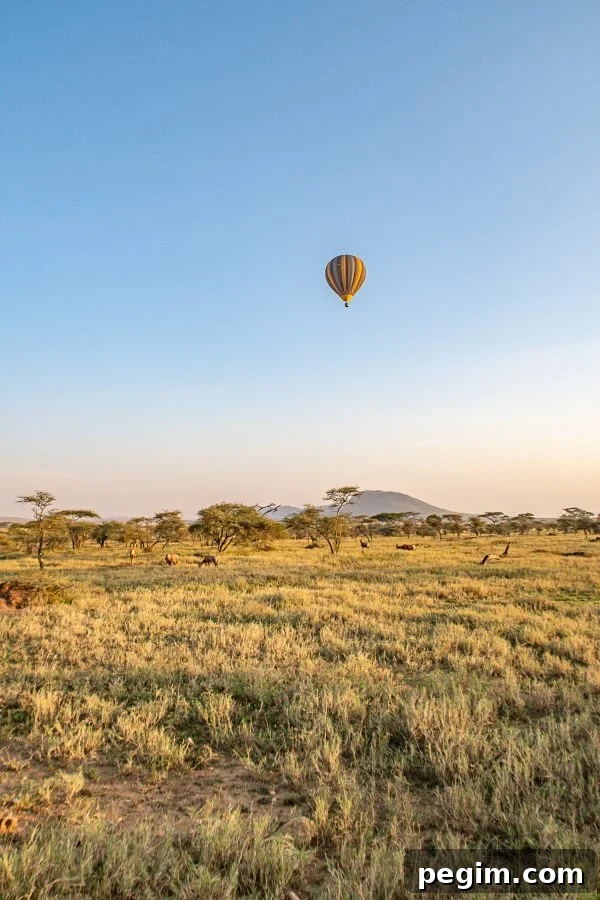 Serengeti Safari 4