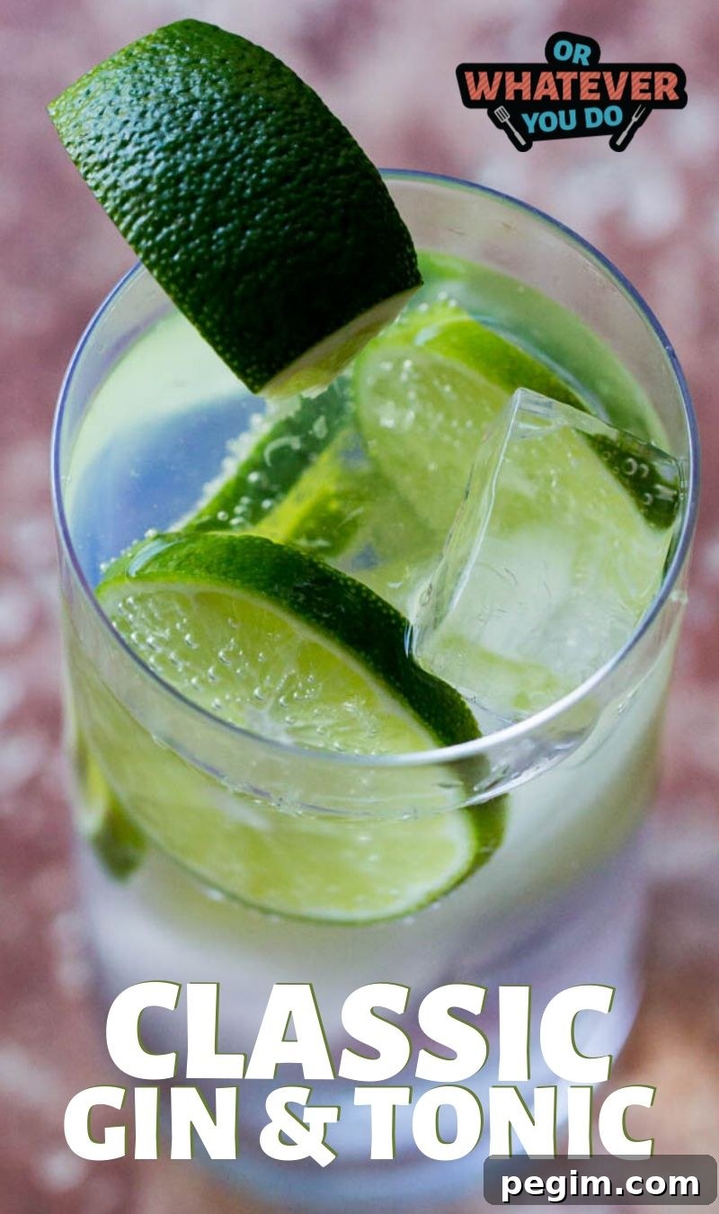 Classic Gin and Tonic