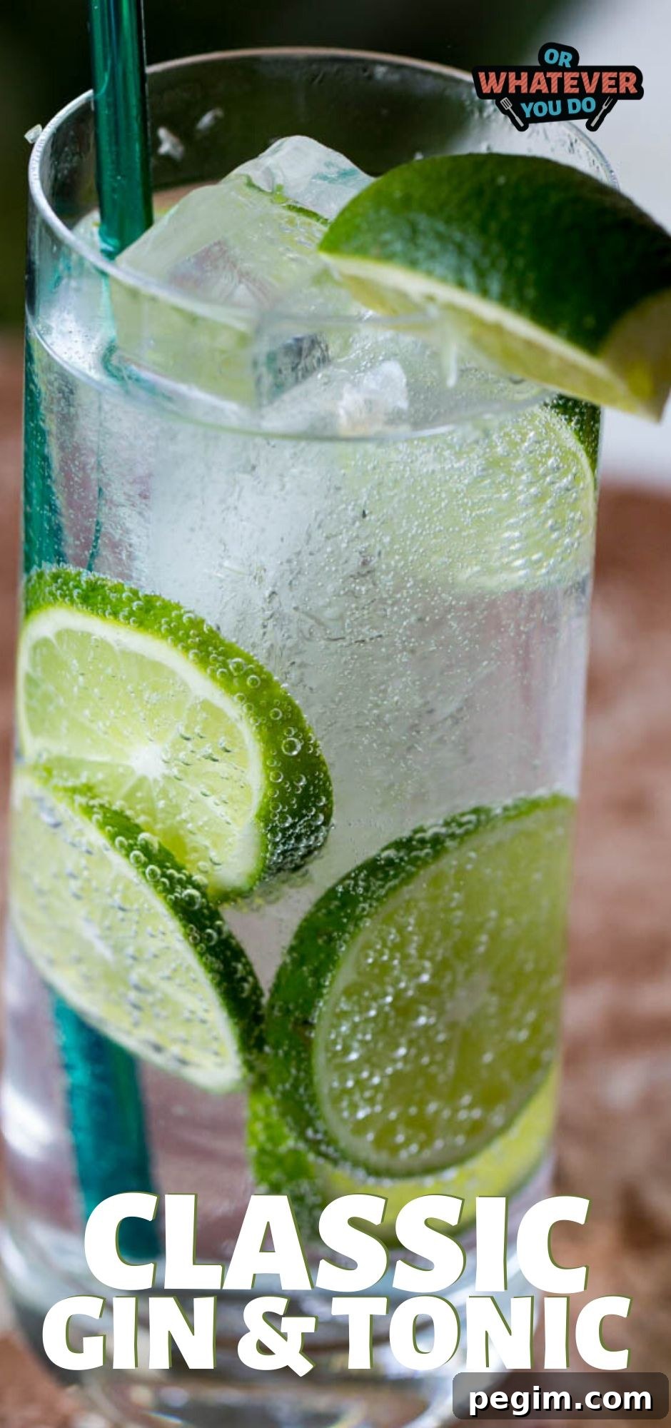 Classic Gin and Tonic