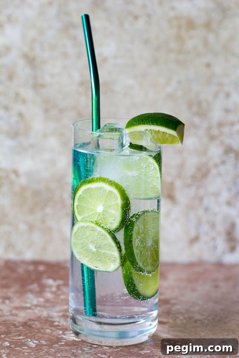 Classic Gin and Tonic