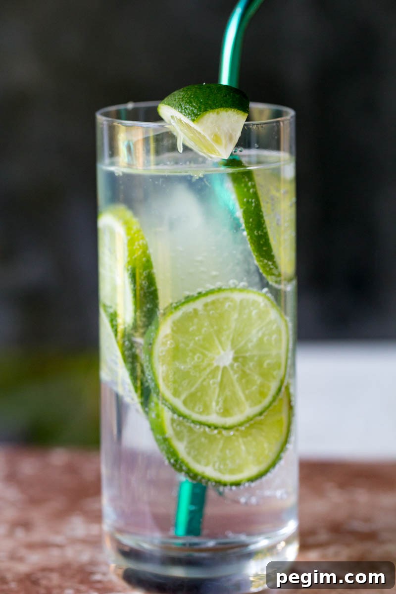 Classic Gin and Tonic