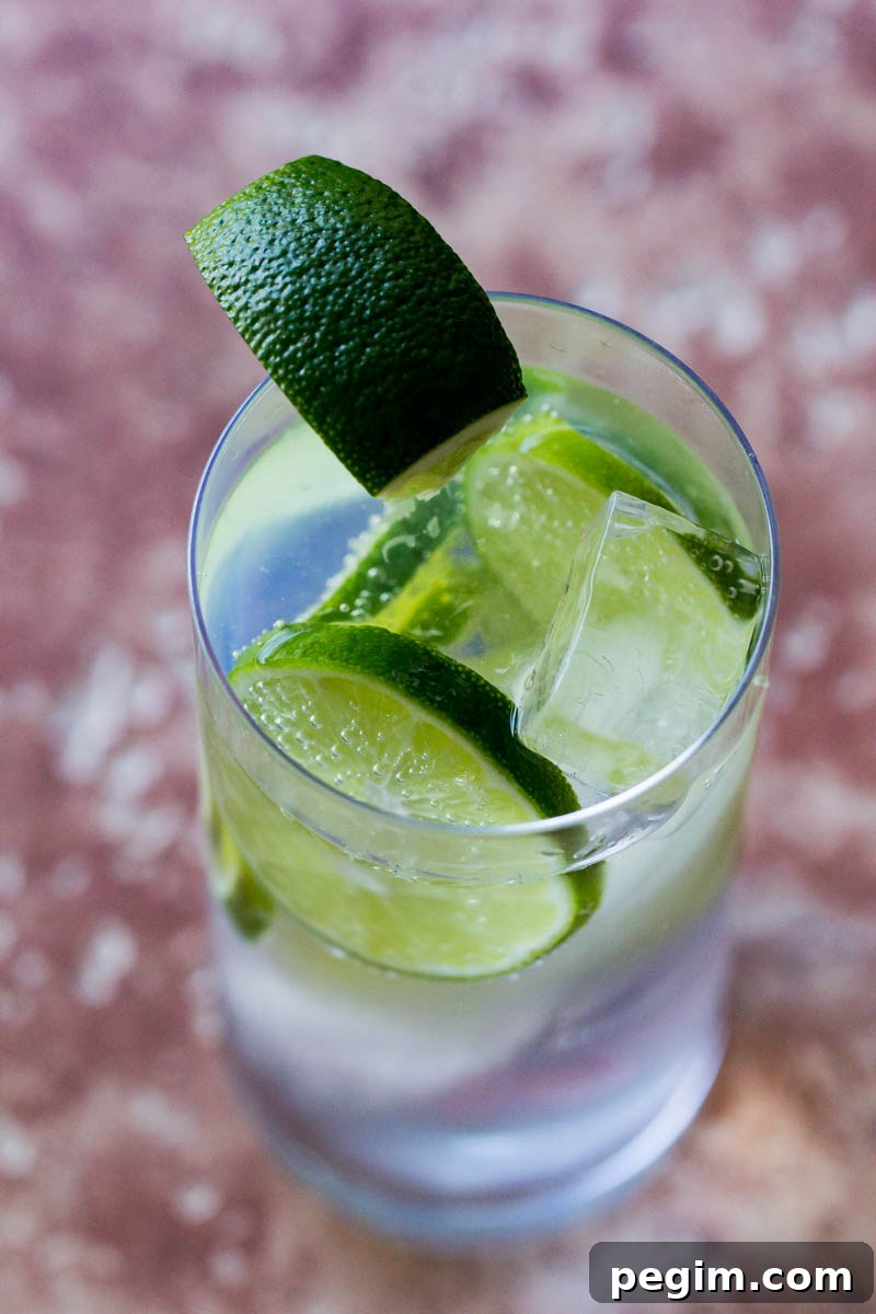 Classic Gin and Tonic