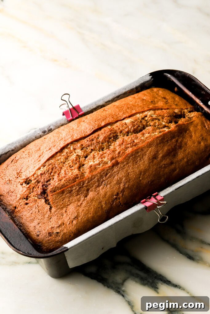 zucchini bread finished baking