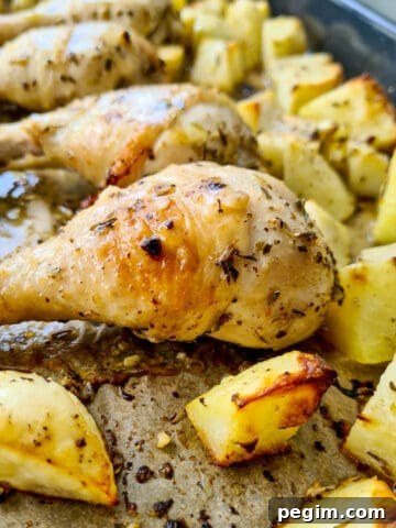 Close up image of a tray of roasted greek-style chicken and potatoes