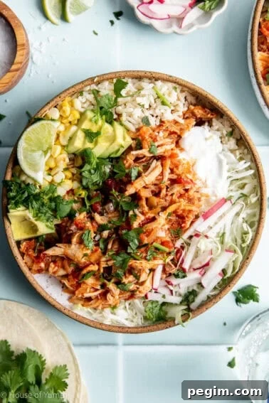 Bowl of Salsa chicken served over rice with cabbage, avocado, corn, and sour cream.