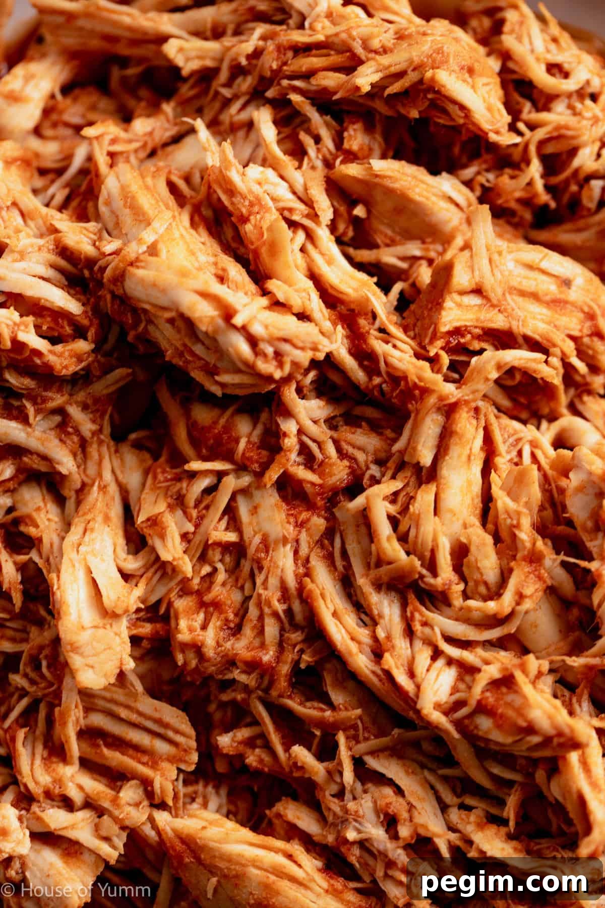Up close of shredded bbq chicken.