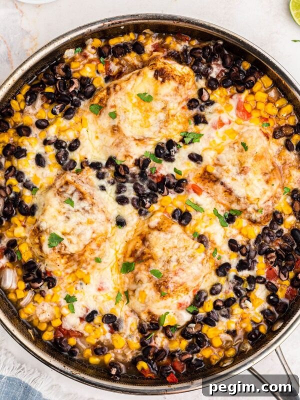 Golden cheesy chicken in a large skillet surrounded by black beans, corn, and tomatoes.