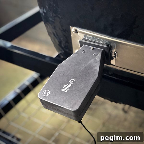 ThermoWorks Billows plugged into grill