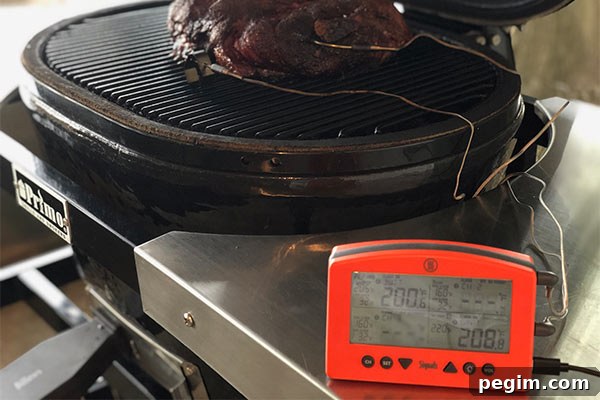 Meat being monitored with ThermoWorks Signal and ThermoWorks Billows