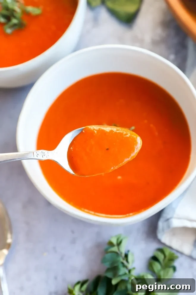 Spoonful of winter dinner image
