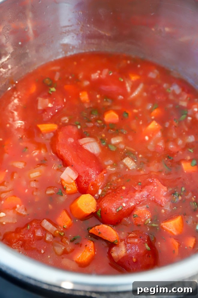 Instant pot soup ingredients before cooking photo