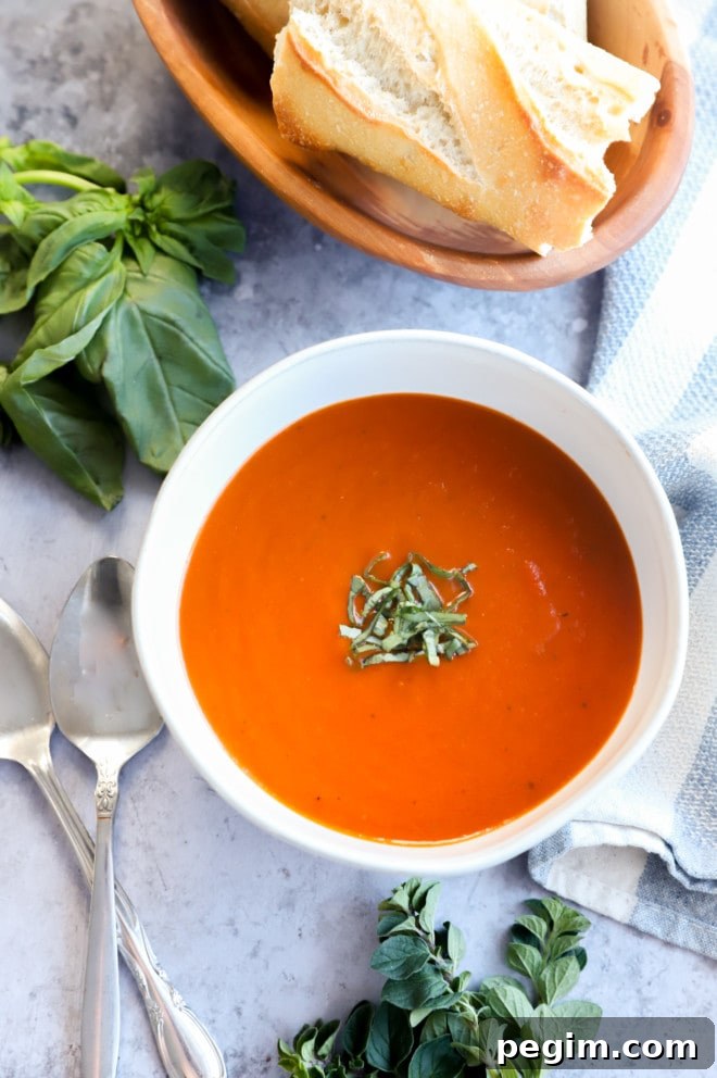 Photo of winter comfort food in bowl with basil and bread