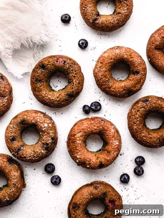 overhead of baked blueberry donuts with blueberries around